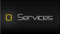 Services of VICO